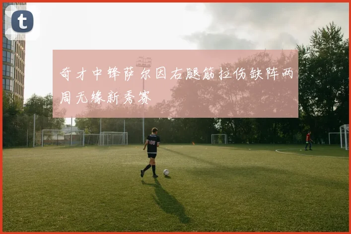 奇才中锋萨尔因右腿筋拉伤缺阵两周无缘新秀赛