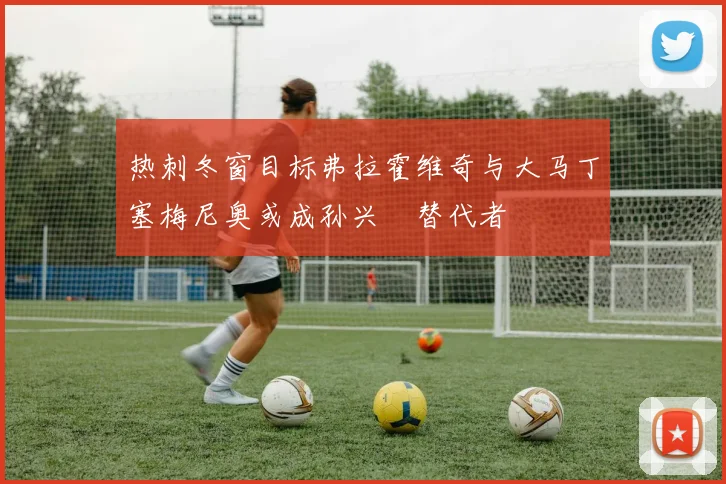 热刺冬窗目标弗拉霍维奇与大马丁塞梅尼奥或成孙兴慜替代者